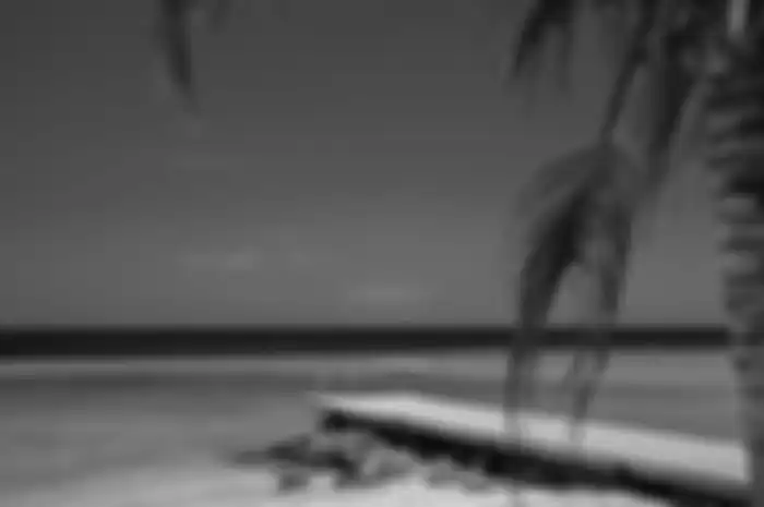 Ilustrasi vibe liburan di pantai.