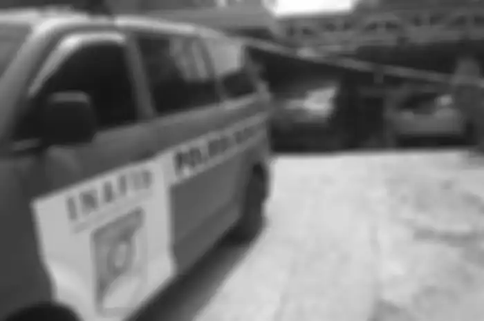 Penemuan jasad ibu dan anak di bagasi Toyota Alphard desa Ciseuti, desa Jalan Cagak, Kabupaten Subang, Jawa Barat
