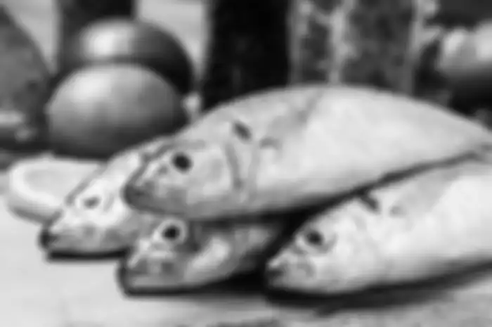 Ilustrasi ikan