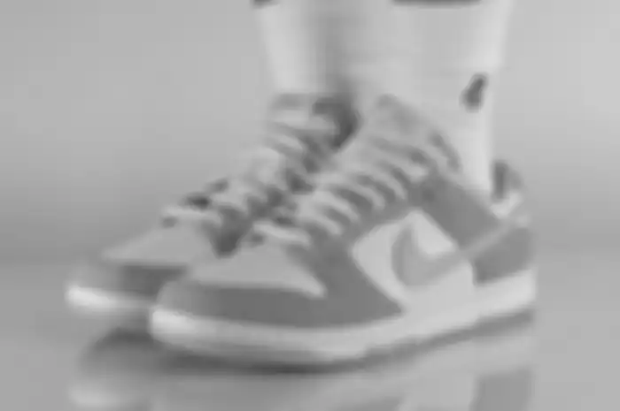 Nike Dunk Low Safari Swoosh