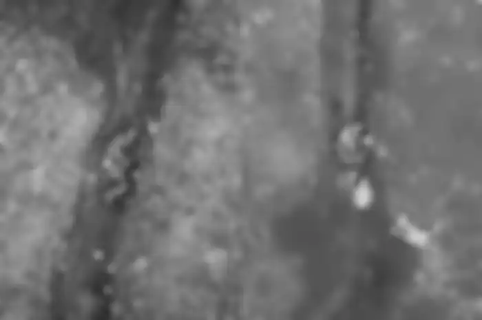 Video viral pasukan Rusia tangkap bom Ukraina