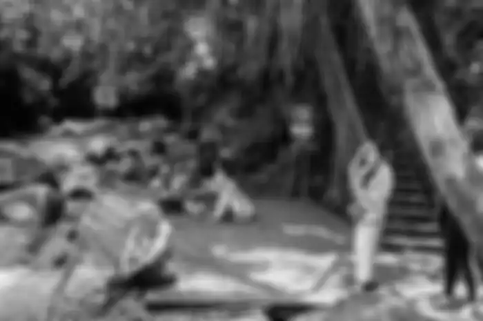 Begini cara menuju Obelix Village Jogja tempat wisata baru yang viral karena menyajikan segudang spot foto aesthetic.