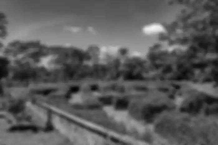 Foto aesthetic Kebun Raya Indrokilo. Begini cara nyaman untuk berburu gambar di tempat wisata alam Boyolali.