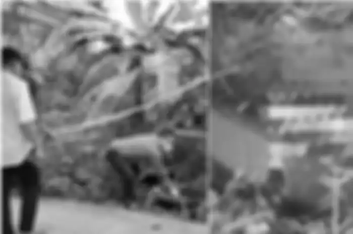 Sesosok mayat pria korban mutilasi tanpa busana ditemukan dalam koper di kebon pisang, Desa Singabangsa, Kecamatan Tenjo, Kabupaten Bogor, Rabu (15/3/2023). 