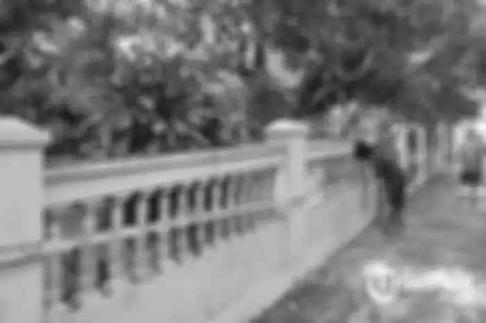 Rumah yang menjadi lokasi adik membunuh kakaknya di Kecamatan Kalikotes, Kabupaten Klaten. 