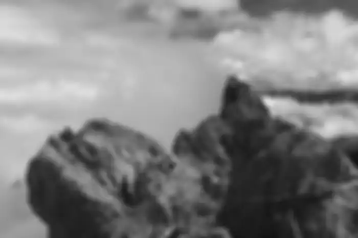 Artikel ini akan membahas tentang siapa sosok di balik pendakian sukses pertama di Puncak Carstensz.