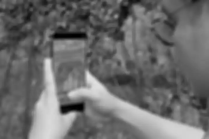 Galaxy S25 Ultra hadir dengan fitur canggih untuk konten traveling sinematik, dari Nightography hingga Samsung Log