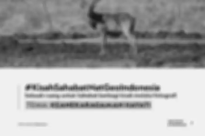 Flyer Kisah Sahabat National Geographic Indonesia dengan Tema Keanekaragaman Hayati