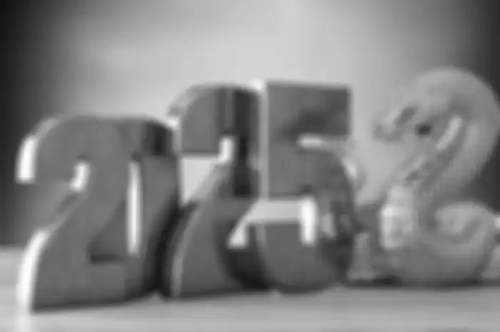 Shio Paling Beruntung 2025