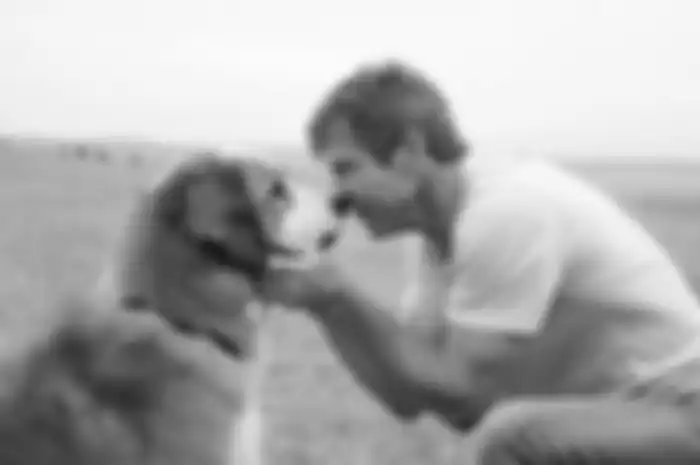 Review Film A Dog’s Purpose: Giliran Anjing Mencari Tujuan Hidup