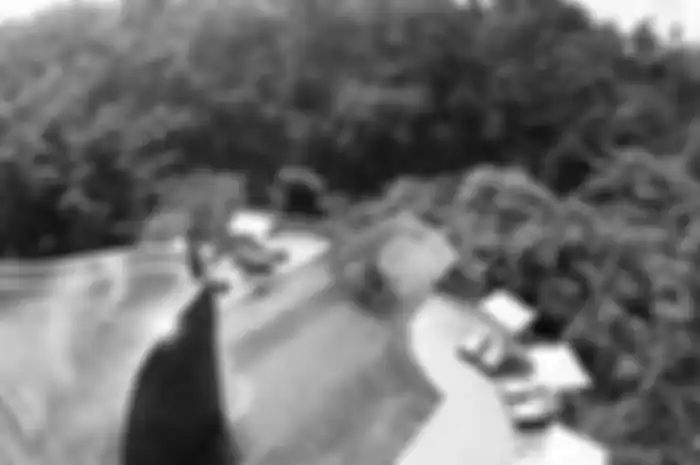 <p>Menurut wonderlist.com, peringkat pertama untuk kolam renang terbaik di dunia ada di Ubud Hanging Gardens Hotel. Ini merupakan sebuah resort mewah yang berada di tengah-tengah gunung berapi, hutan, dan sawah. Kolam renang bertingkat ini seolah-olah menggantung di ujung jurang sehingga sangat memungkinkan siapapun menyaksikan pemandangan alam yang eksotis. (foto: weddingaffair.co.in)</p>