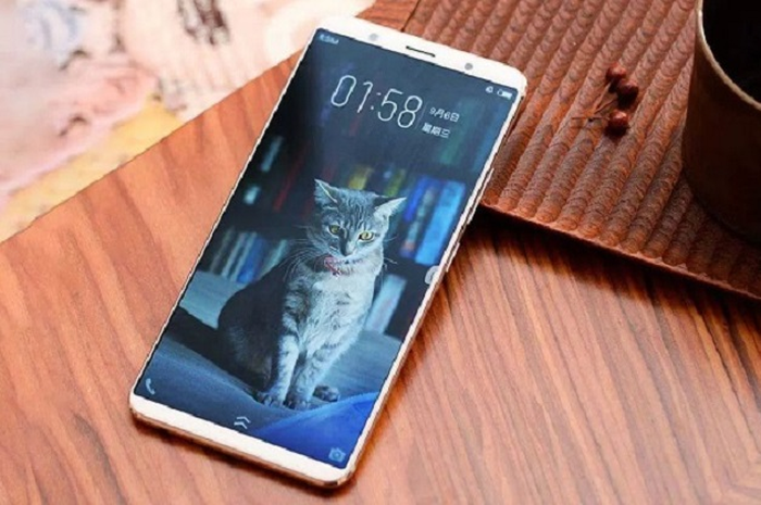 Vivo X20 Plus