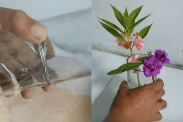 Mempunyai botol kaca yang sudah tidak terpakai? Jangan dibuang! Mungkin Anda dapat berkreasi dengan  membuatnya menjadi pot bunga.