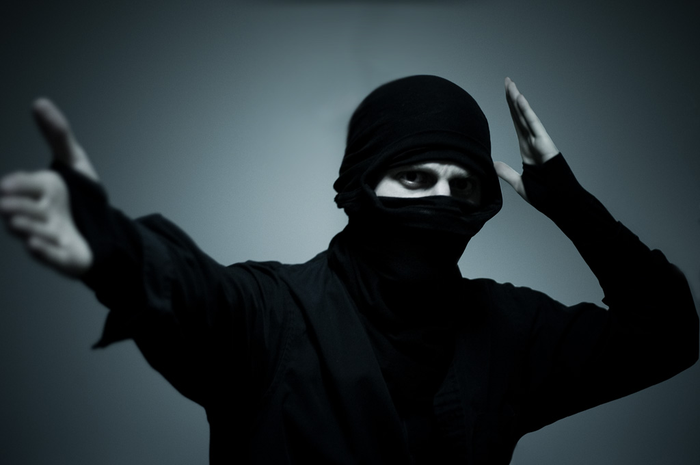 Ilustrasi Ninja