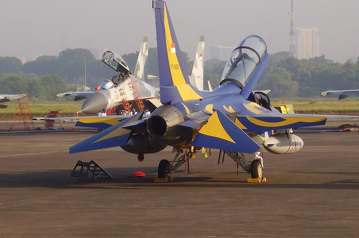 Pesawat T-50 buatan Korsel milik TNI AU