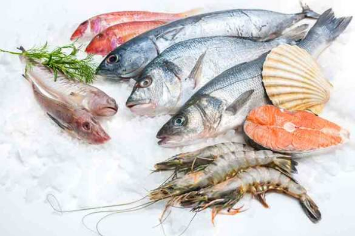 Ikan laut