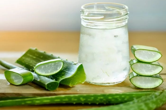 Minuman kesehatan alami lidah buaya dan bawang putih memiliki kemampuan untuk mengobati lebih dari tujuh penyakit ketika dikonsumsi secara teratur.