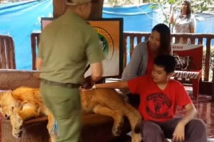Tangkapan foto dari video yang tengah viral.