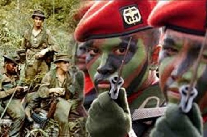 Ilustrasi pasukan Kopassus