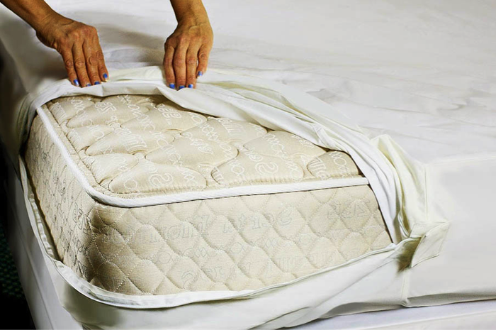 Sprei