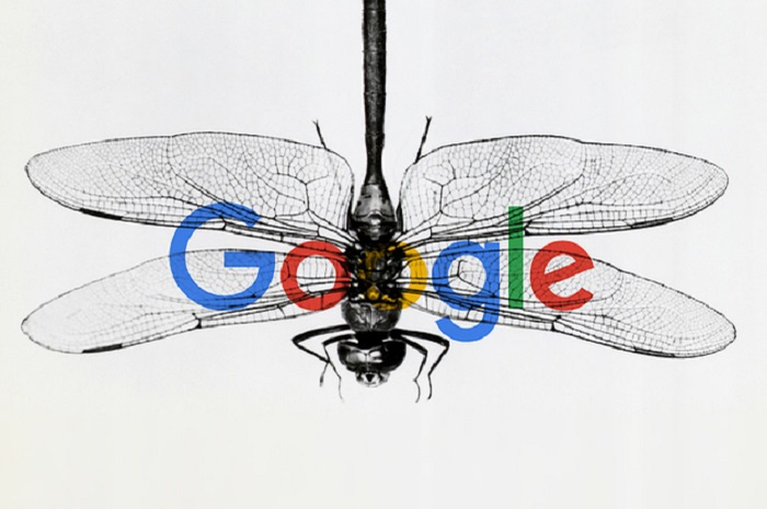 Dragonfly Google