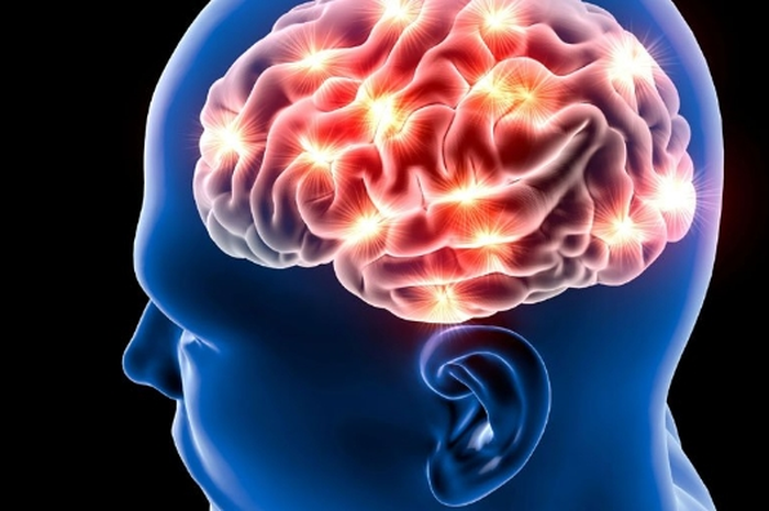 Otak manusia ternyata masih mampu hasilkan neuron sampai tua sekalipun.