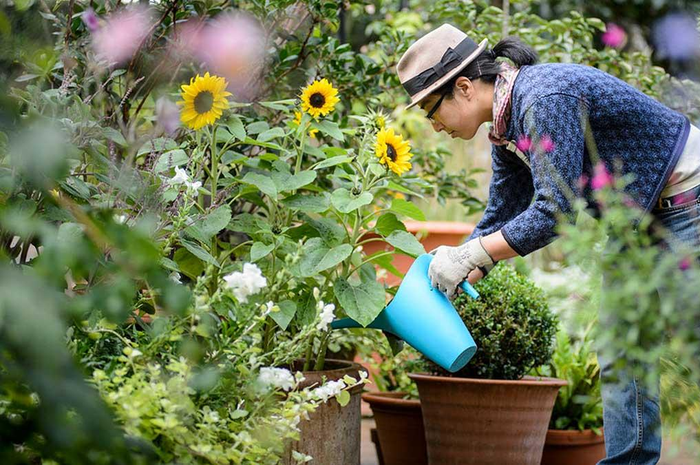 Cara mudah memanfaatkan barang yang ada di rumah untuk berkebun