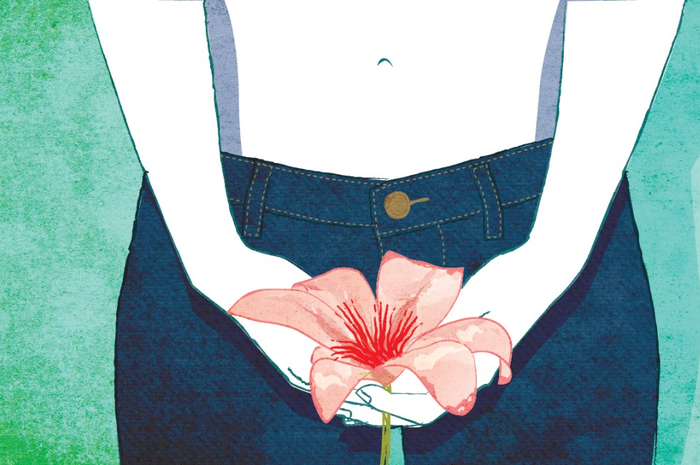 Ilustrasi Vagina