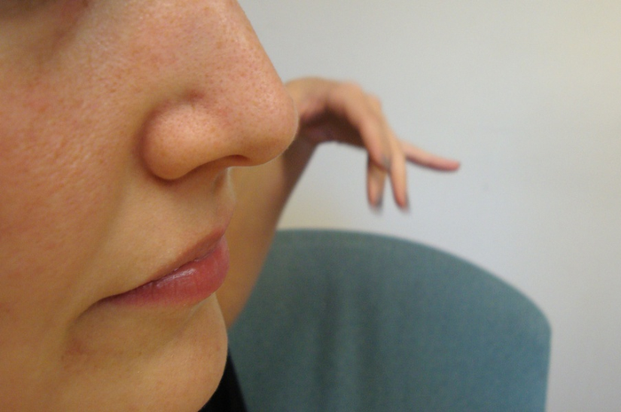 Hidung