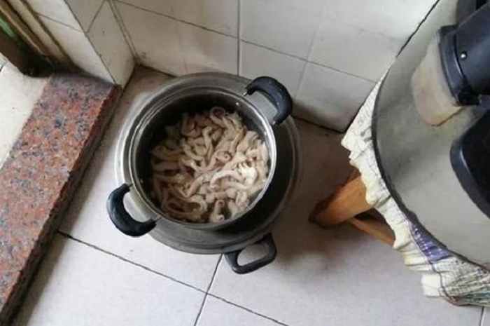 Usus ayam 