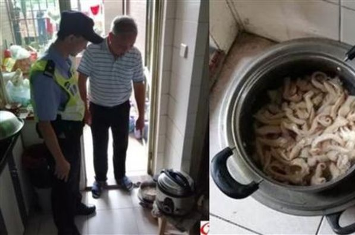 Hal itu membuat pria ini kaget, pasalnya ia tidak pernah melakukan kejahatan apapun dan ternyata usus ayam yang dibawanya tersebut bermasalah.
