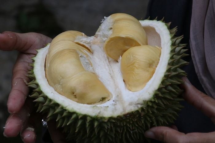 durian