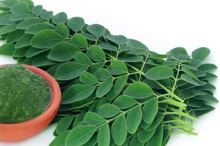 Daun kelor juga bisa digunakan untuk membawa perubahan pada kulit wajah, cantik alami tanpa perlu ke salon.