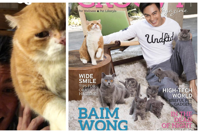 Lukman Sardi ingatkan Baim Wong untuk jauhi kucing setelah menikah