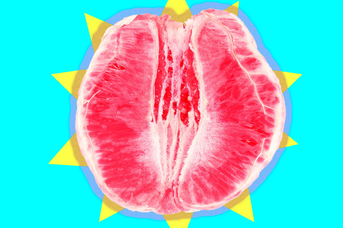 Ilustrasi Vagina