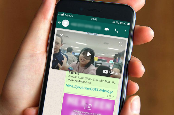 Whatsapp Pip
