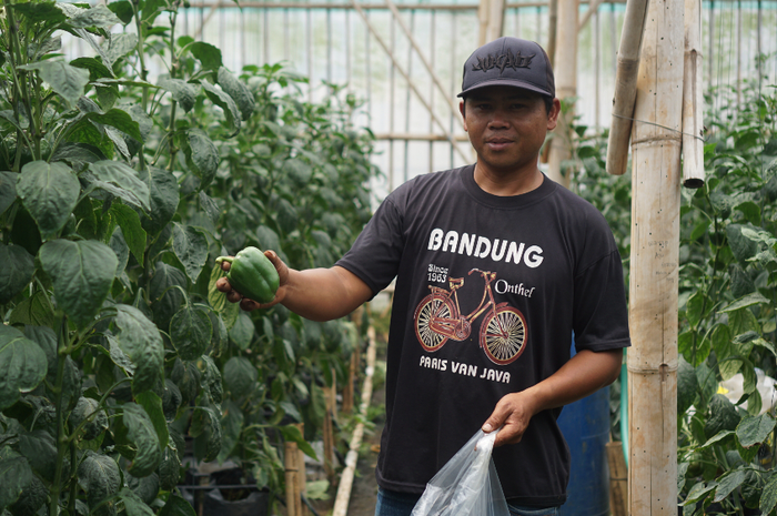 Encomotion saat ini digunakan di sebuah green house di Cisarua, Bandung