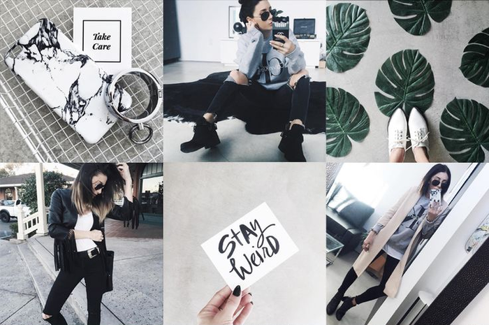 Feeds Instagram