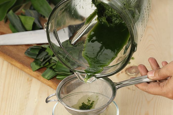 cara membuat air daun suji