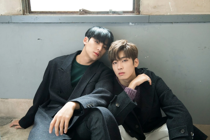 Mingyu dan Wonwoo 'SEVENTEEN'