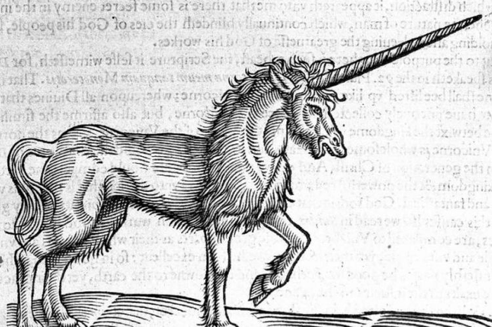 Ini alasan unicorn di Indonesia lebih banyak dibanding negara-negara Asia Tenggara lainnya.