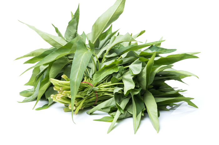 Kangkung