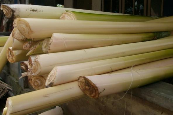 Batang pohon pisang laku di Amerika dengan harga mahal