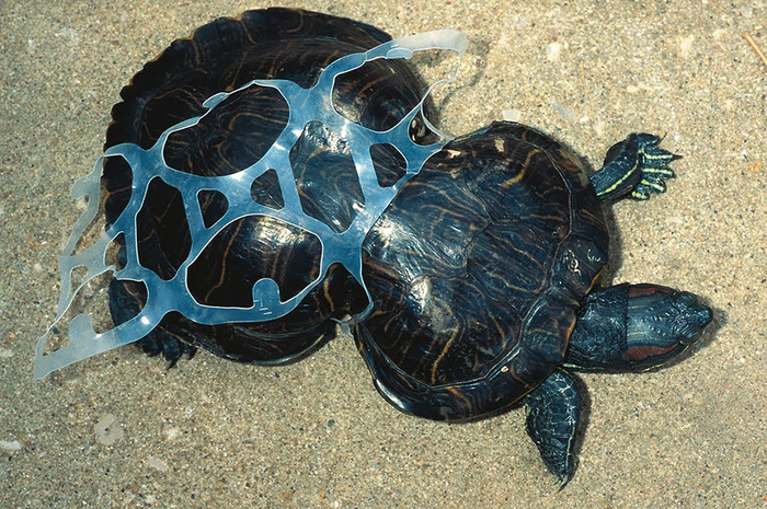 Bahaya sampah plastik