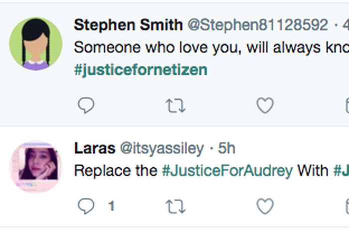 #JusticeforNetizen