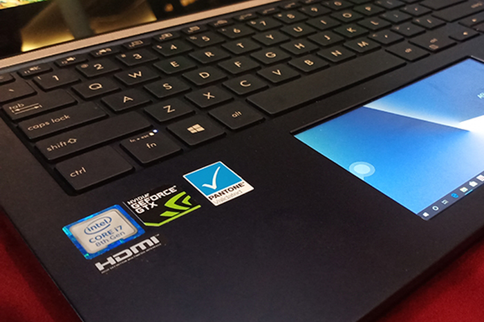 Screenpad Asus ZenBook Pro 14 UX480