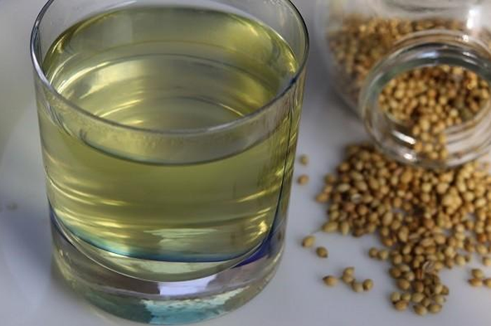 Coba Minum Rendaman Air Ketumbar, dan Rasakan 6 Khasiat Ajaib Untuk Tubuh
