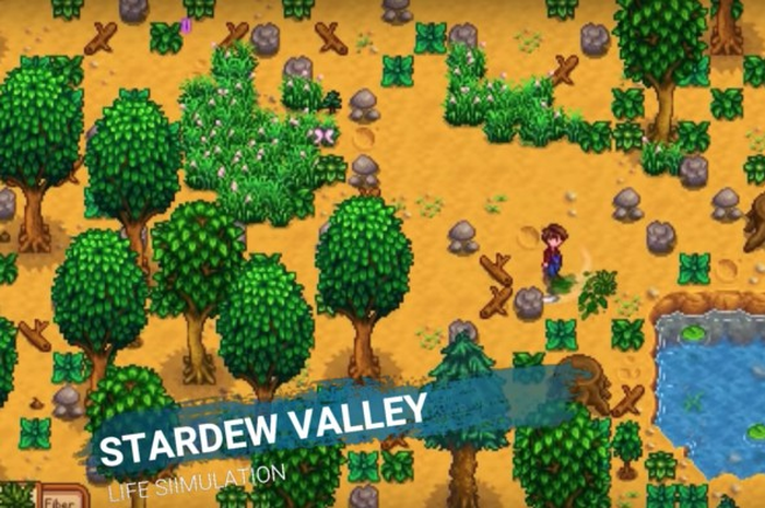 Stardew Valley
