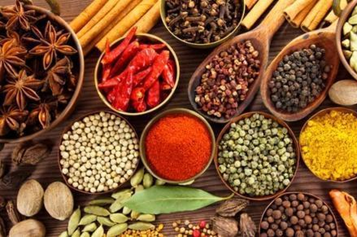 Ilustrasi rempah-rempah herbal