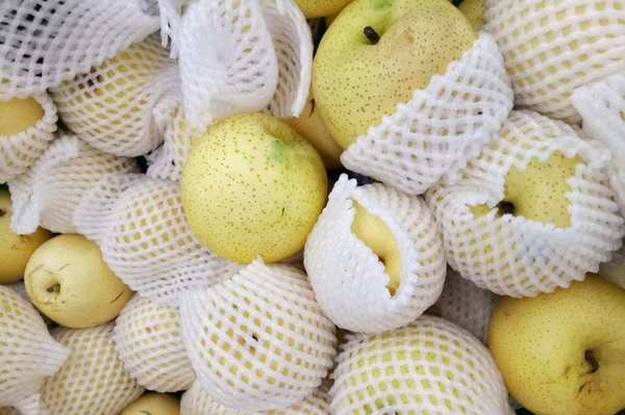 Manfaat Jaring Buah yang Tak Banyak Diketahui